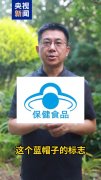 表本网的概念和立